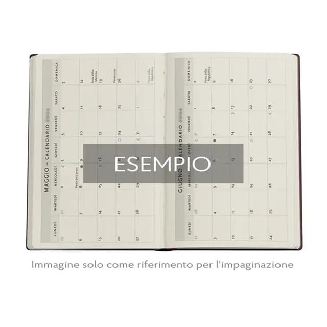 Paperblanks-2026 English Diary Wild Flowers Midi Day Ajanda-Ajanda-4-fleurdirect.live