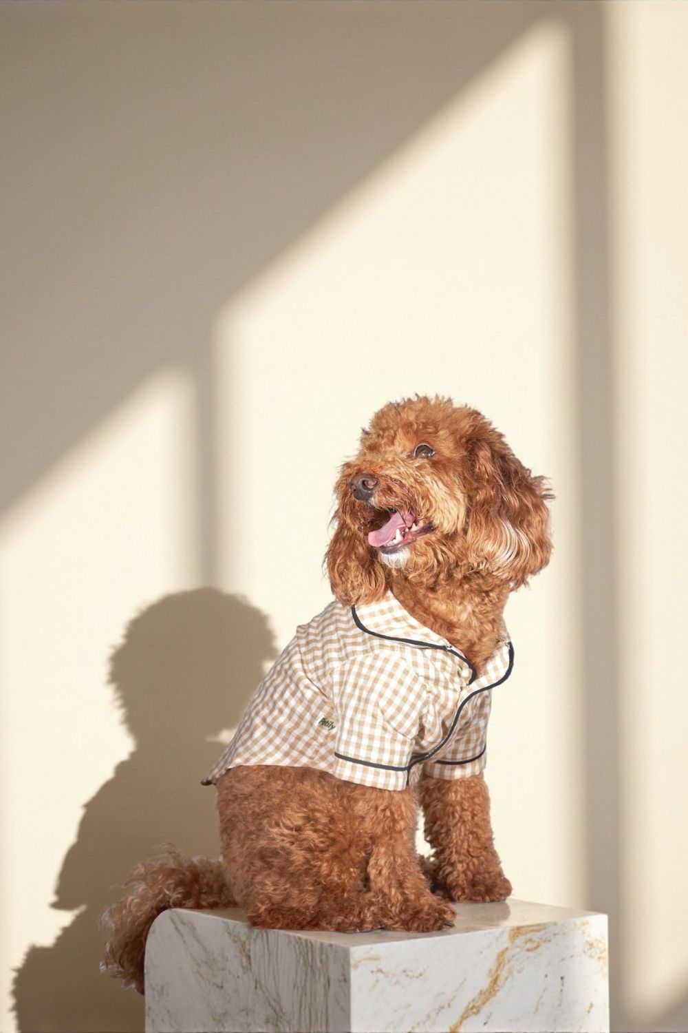 Bej Pötikare Köpek Pijaması - 0