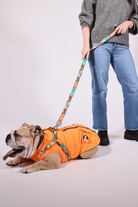 Pawlook-Pawlook , Göğüs Tasmalı, Köpek Montu, Köpek Yağmurluğu, Turuncu-Köpek-1-fleurdirect.live