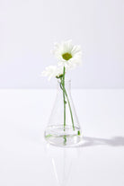 Pelcare-Daisy Floral Mist Lavender + Chamomile Hydrosol - Saf Bi̇tki̇ Suyu Yatiştirici-Cilt Serumu-3-fleurdirect.live