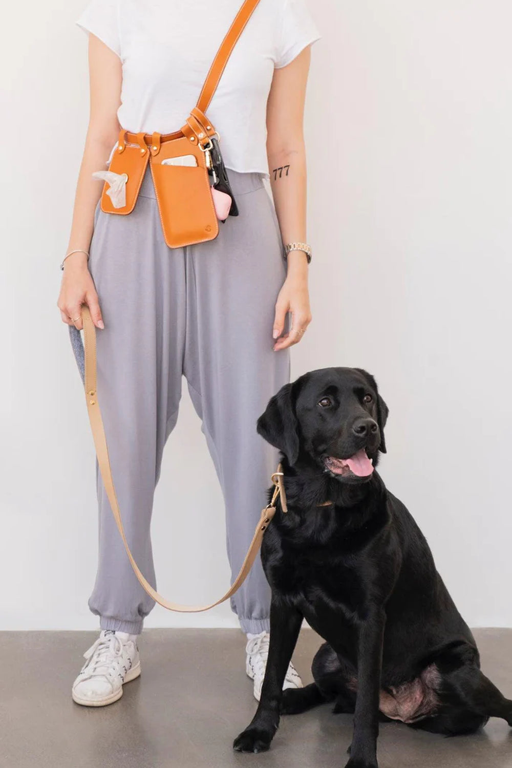 Pups & Itchy-Deri Köpek Gezdirme Kayışı - Beige-Köpek-5-fleurdirect.live