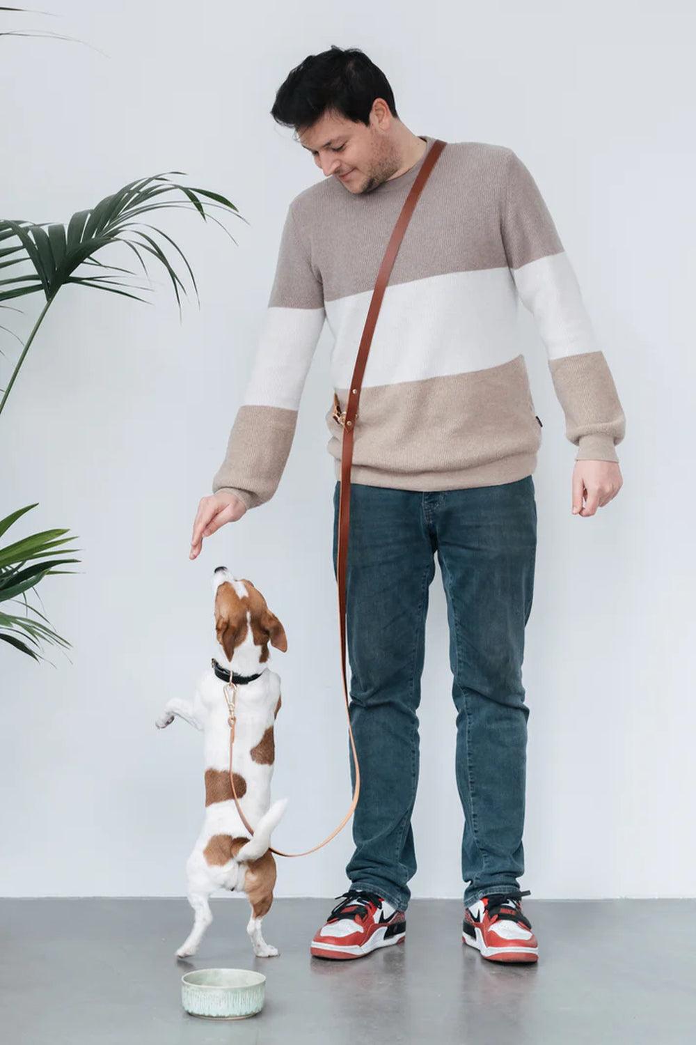 Pups & Itchy-Hands-Free Gezdirme Kayışı - Konyak-Köpek-4-fleurdirect.live
