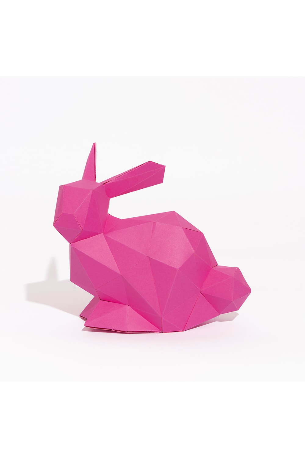 Seb Studio-Seb_Rabbit fuşya Kendin Yap Heykel Kiti-Heykel-2-fleurdirect.live