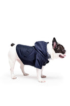 Siena Couture-Fontebranda Blue | Yağmurluk-Köpek-1-fleurdirect.live