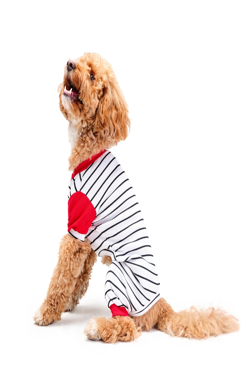 Siena Couture-Pigiama Thin | Pijama-Köpek-1-fleurdirect.live