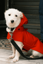 St. Pia-Pluvio Köpek Yağmurluğu-Köpek-2-fleurdirect.live