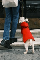 St. Pia-Pluvio Köpek Yağmurluğu-Köpek-3-fleurdirect.live