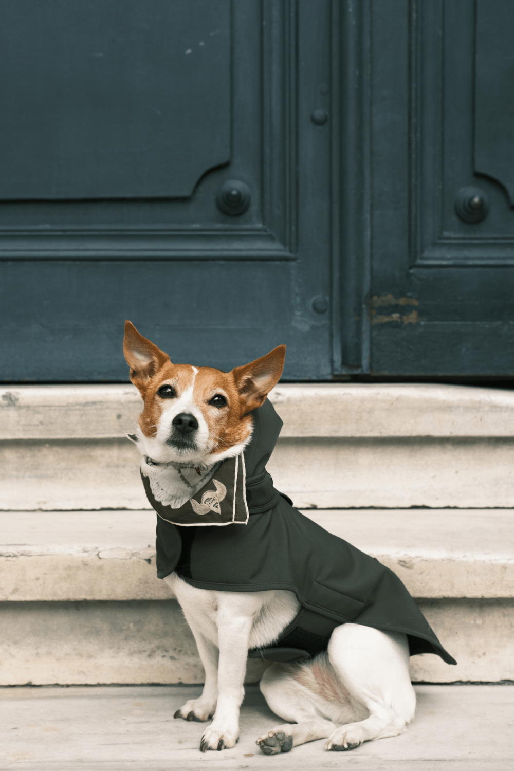 St. Pia-Pluvio Köpek Yağmurluğu-Köpek-3-fleurdirect.live