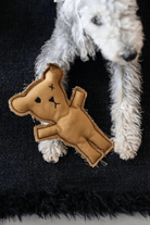 St. Pia-Robear El Yapımı Kedi + Köpek Oyuncağı-Toffee-Köpek-5-fleurdirect.live