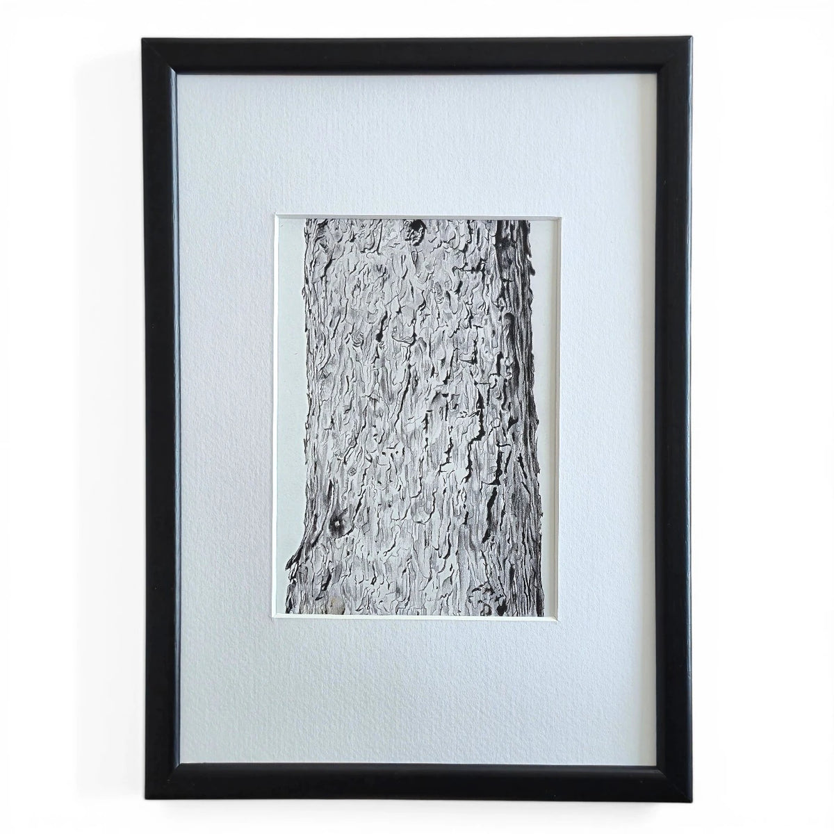 Ağaç Gövdesi Teknik Kalem Fine Art Baskı