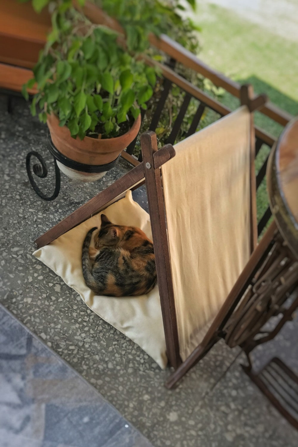 Vune Concept-Ketu Kedi Evi - Bej-Kedi-2-fleurdirect.live
