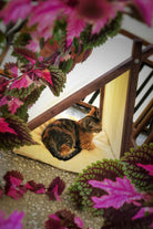 Vune Concept-Ketu Kedi Evi - Bej-Kedi-3-fleurdirect.live