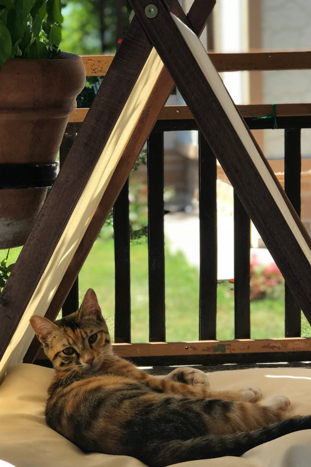 Vune Concept-Ketu Kedi Evi - Bej-Kedi-4-fleurdirect.live