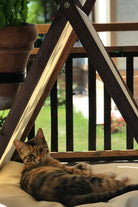 Vune Concept-Ketu Kedi Evi - Bej-Kedi-4-fleurdirect.live