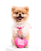 Heart Boss Babe Toy