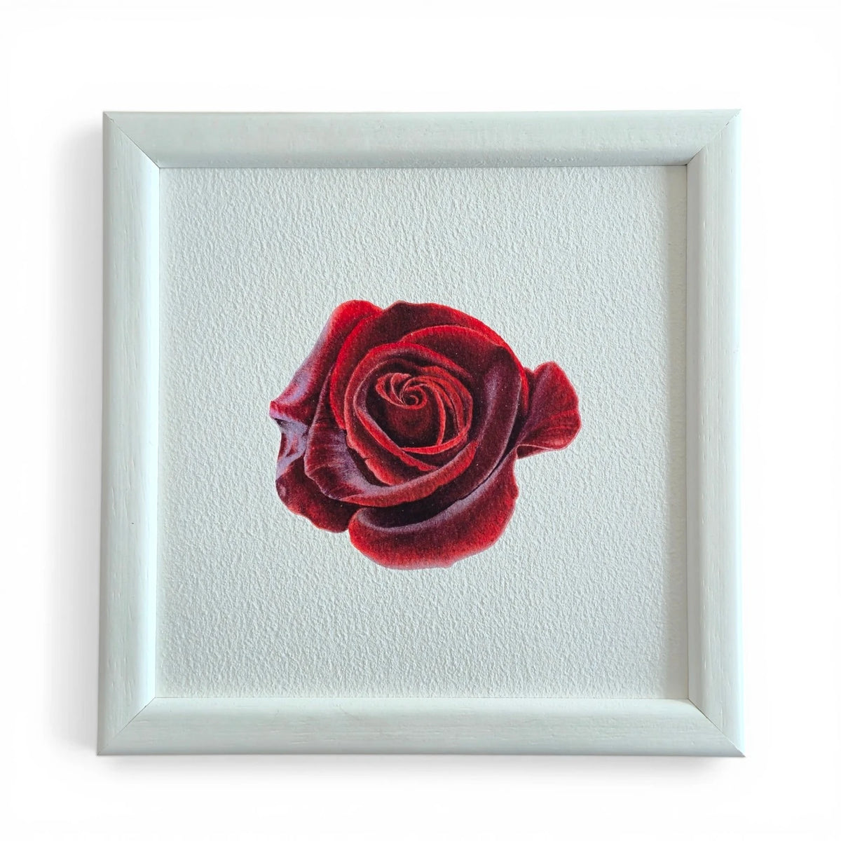 Gül Suluboya Fine Art Baskı