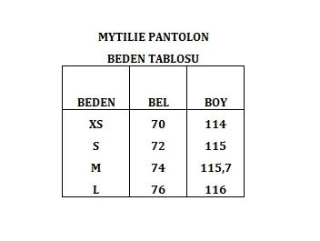 Mytilie Ipek Saten Palazzo Pantolon - 3