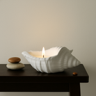 Atelier Deniz Kabuğu Soya Mum - Büyük - 2