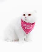 That'S Hot! Cat Bandana