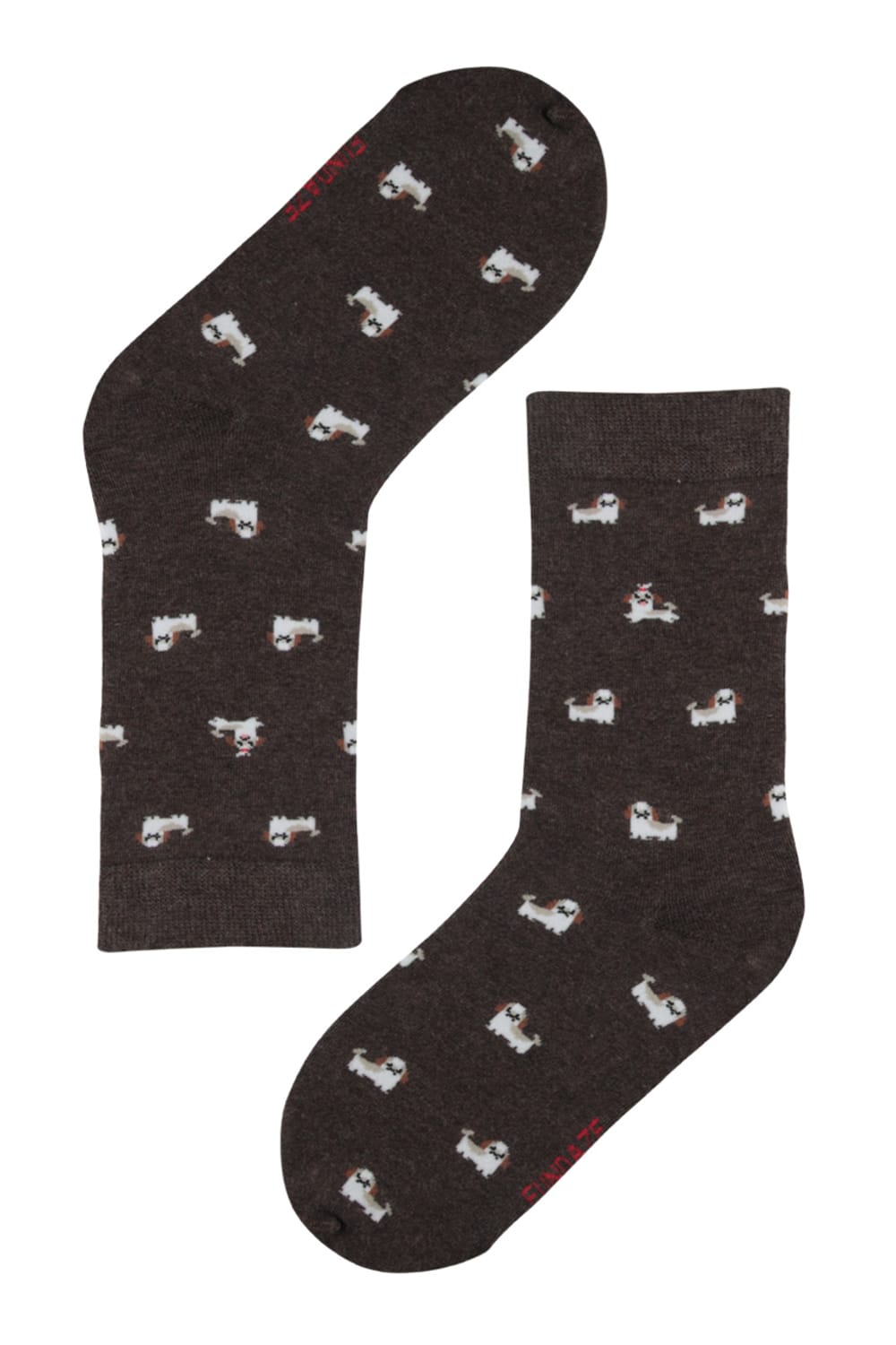 Fundaze-ShihTsu Socks-Çorap-1-fleurdirect.live