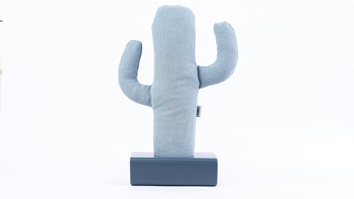 Kayigo-Cactus Xl Lavanta Dolgulu Notluk Mavi-Masaüstü Organizer-1-fleurdirect.live