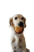 St. Pia-Burger El Yapımı Kedi + Köpek Oyuncağı-Köpek-1-fleurdirect.live