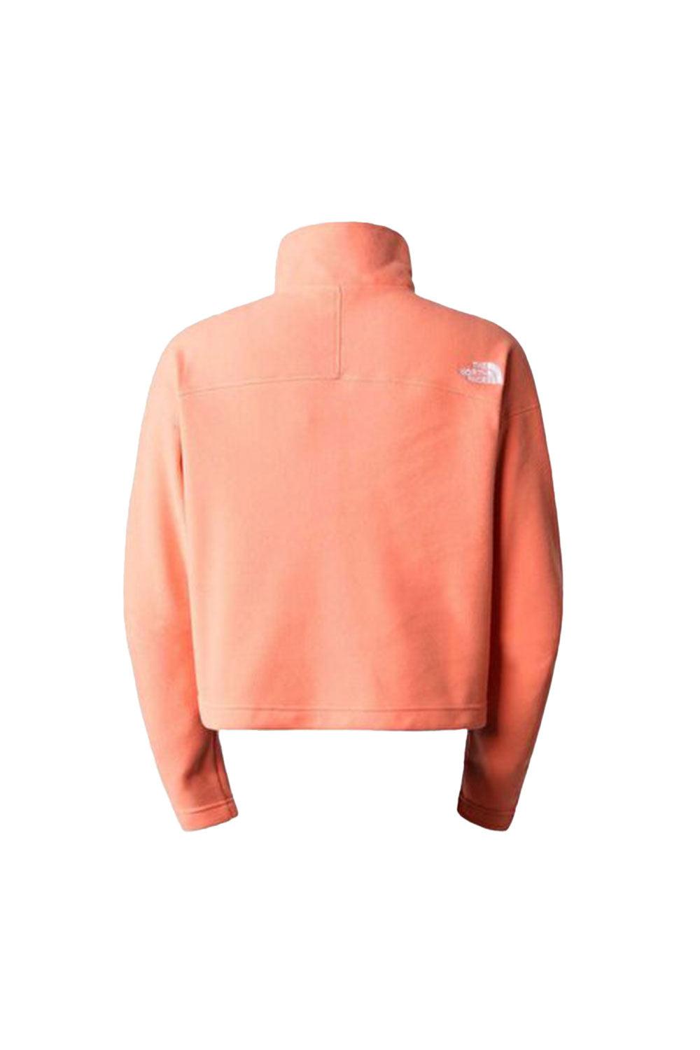 The North Face-Women 100 Glacier Cropped 1/4 Zip-Sweatshirts & Hoodies-2-fleurdirect.live